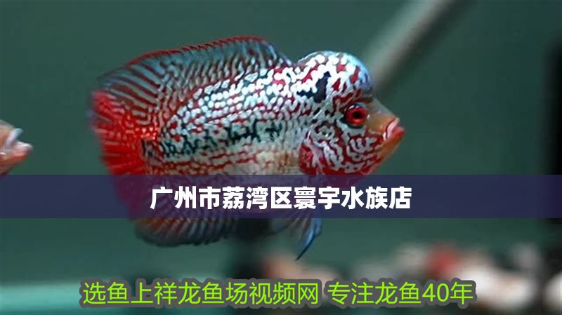 廣州市荔灣區寰宇水族店 全國水族館企業名錄 第1張 廣州市荔灣區寰宇水族店 廣州市荔灣區寰宇水族店 全國水族館企業名錄 第1張