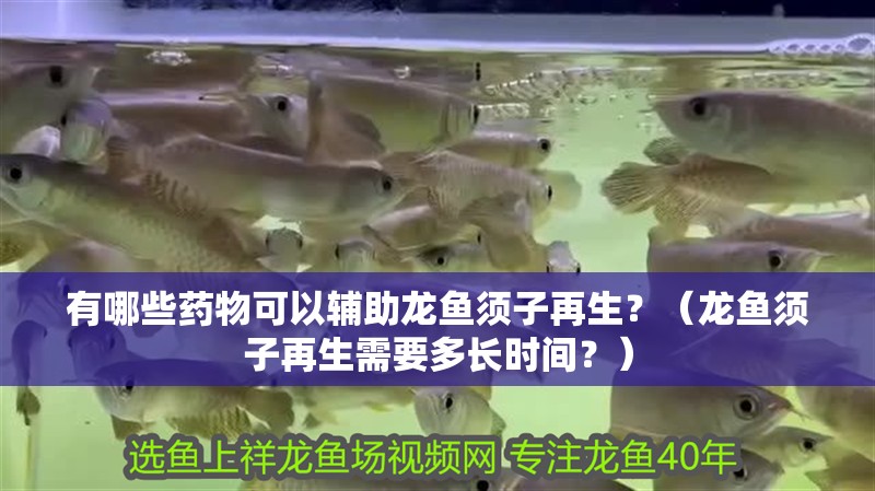 有哪些藥物可以輔助龍魚須子再生？（龍魚須子再生需要多長時間？）