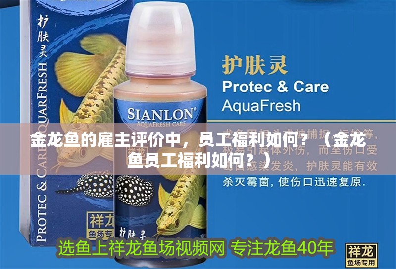 金龍魚的雇主評價中，員工福利如何？（金龍魚員工福利如何？）