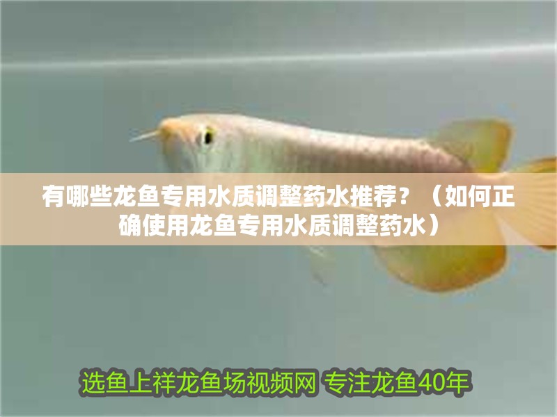有哪些龍魚(yú)專(zhuān)用水質(zhì)調(diào)整藥水推薦？（如何正確使用龍魚(yú)專(zhuān)用水質(zhì)調(diào)整藥水）