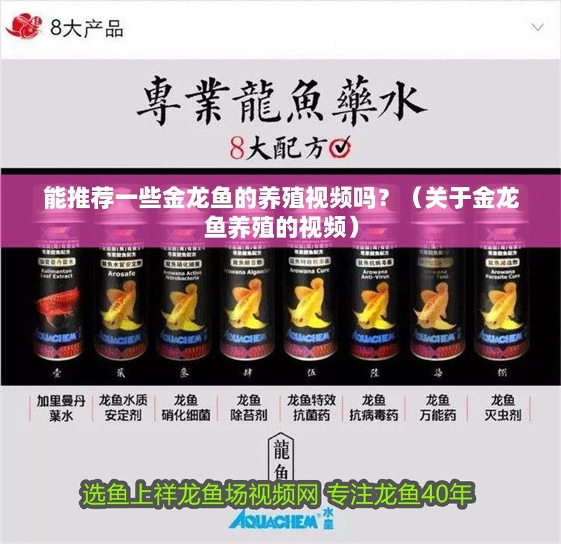 能推薦一些金龍魚的養殖視頻嗎？（關于金龍魚養殖的視頻）