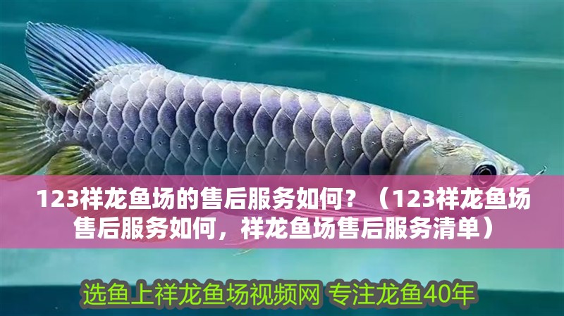 123祥龍魚場的售后服務如何？（123祥龍魚場售后服務如何，祥龍魚場售后服務清單）