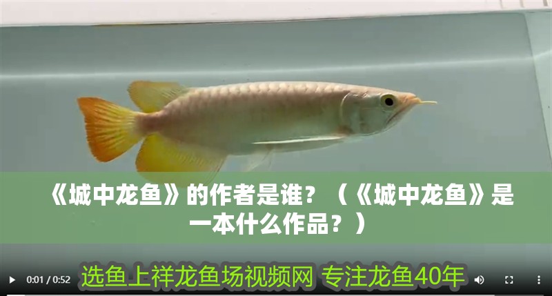 《城中龍魚》的作者是誰？（《城中龍魚》是一本什么作品？） 《城中龍魚》的作者是誰？（《城中龍魚》是一本什么作品？） 龍魚百科