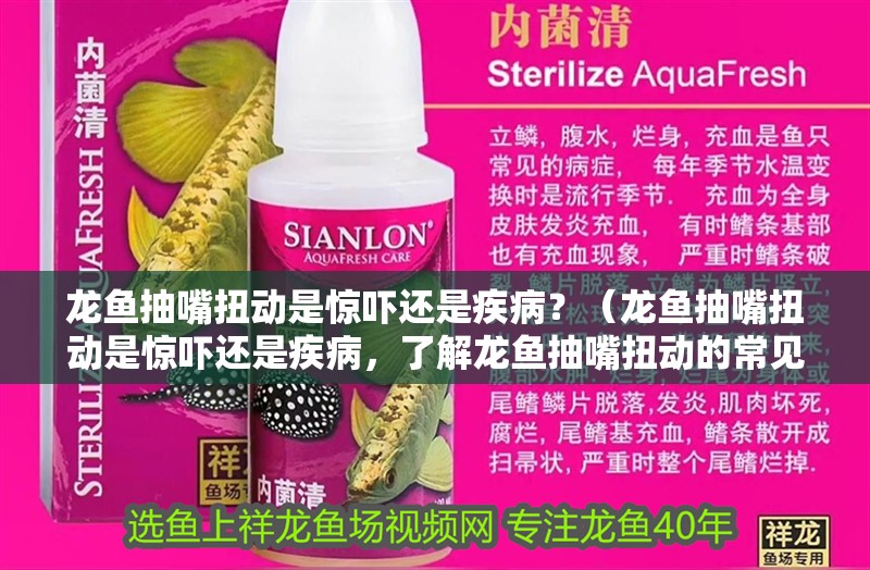 龍魚抽嘴扭動是驚嚇還是疾??？（龍魚抽嘴扭動是驚嚇還是疾病，了解龍魚抽嘴扭動的常見原因）