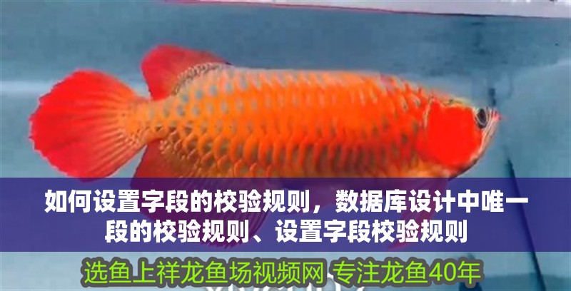 如何設置字段的校驗規則，數據庫設計中唯一段的校驗規則、設置字段校驗規則