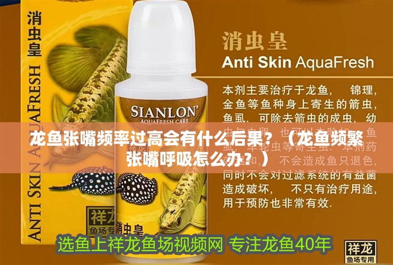 龍魚張嘴頻率過高會有什么后果？（龍魚頻繁張嘴呼吸怎么辦？）