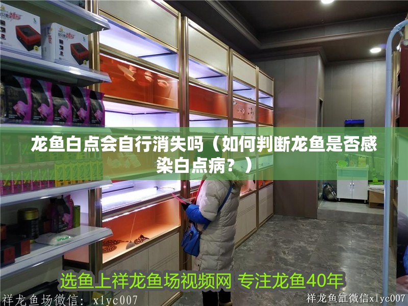 龍魚(yú)白點(diǎn)會(huì)自行消失嗎（如何判斷龍魚(yú)是否感染白點(diǎn)病？）