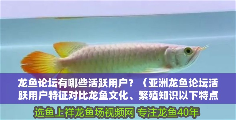 龍魚論壇有哪些活躍用戶？（亞洲龍魚論壇活躍用戶特征對比龍魚文化、繁殖知識以下特點）