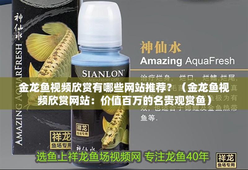 金龍魚視頻欣賞有哪些網(wǎng)站推薦？（金龍魚視頻欣賞網(wǎng)站：價值百萬的名貴觀賞魚）