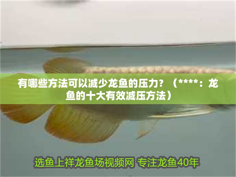 有哪些方法可以減少龍魚的壓力？（****：龍魚的十大有效減壓方法）