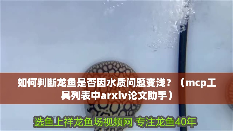 如何判斷龍魚是否因水質問題變淺？（mcp工具列表中arxiv論文助手）