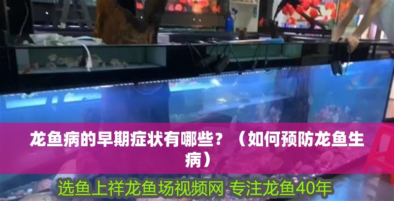 龍魚病的早期癥狀有哪些？（如何預防龍魚生病）