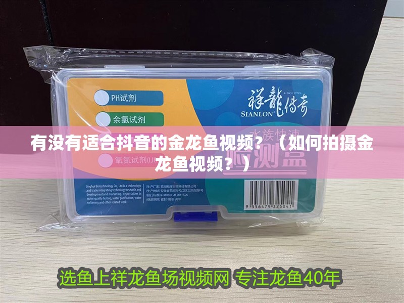 有沒有適合抖音的金龍魚視頻？（如何拍攝金龍魚視頻？）