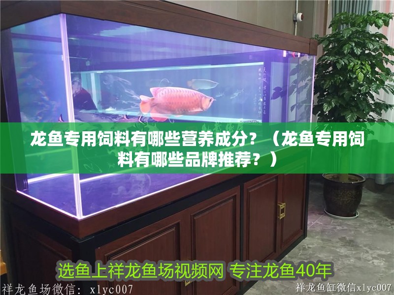 龍魚專用飼料有哪些營養成分？（龍魚專用飼料有哪些品牌推薦？）