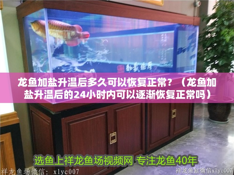 龍魚加鹽升溫后多久可以恢復正常？（龍魚加鹽升溫后的24小時內可以逐漸恢復正常嗎）