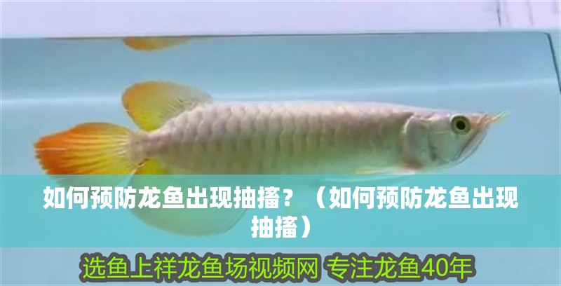 如何預(yù)防龍魚(yú)出現(xiàn)抽搐？（如何預(yù)防龍魚(yú)出現(xiàn)抽搐）