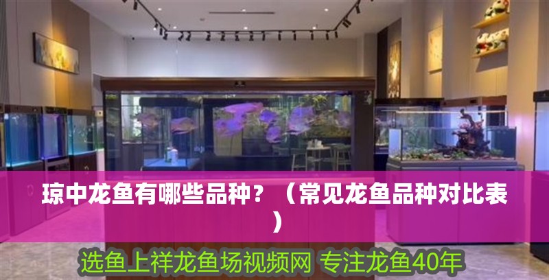 瓊中龍魚有哪些品種？（常見龍魚品種對比表）