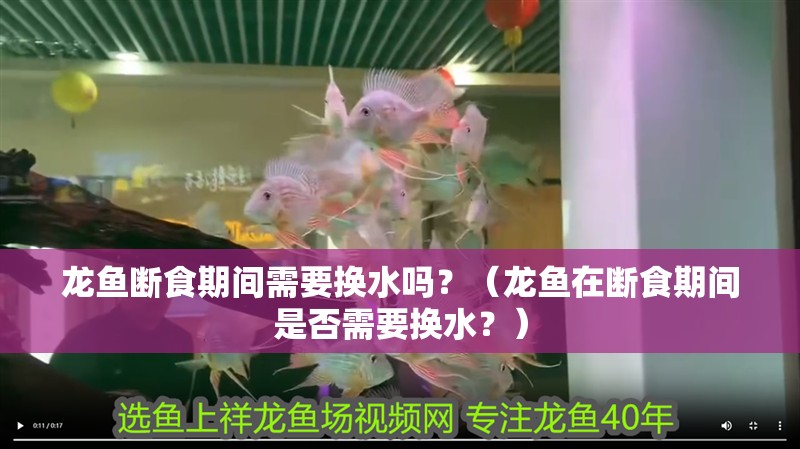 龍魚斷食期間需要換水嗎？（龍魚在斷食期間是否需要換水？）