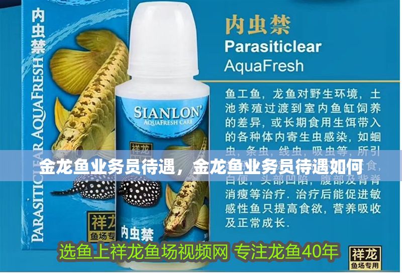 金龍魚業務員待遇，金龍魚業務員待遇如何