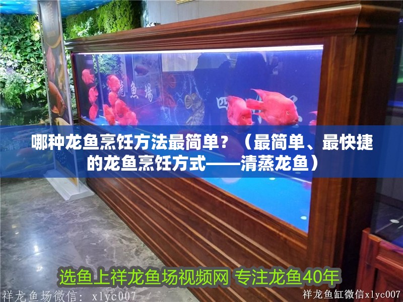 哪種龍魚烹飪方法最簡單？（最簡單、最快捷的龍魚烹飪方式——清蒸龍魚）
