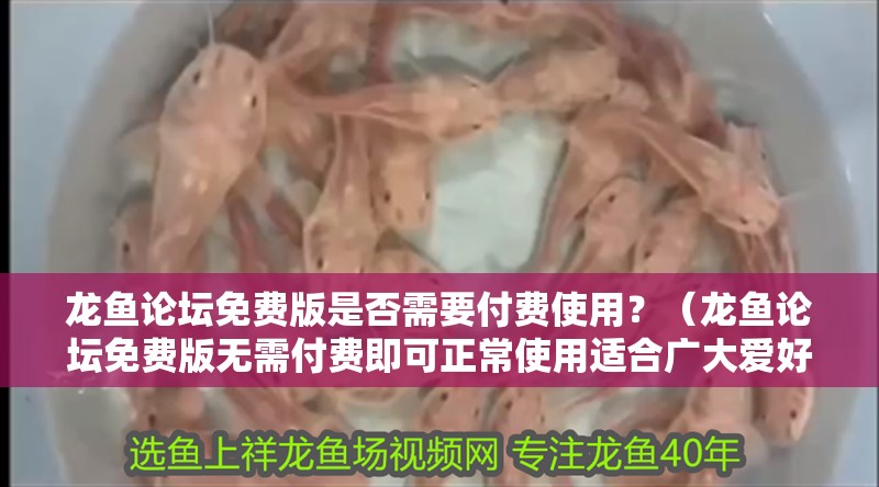 龍魚論壇免費版是否需要付費使用？（龍魚論壇免費版無需付費即可正常使用適合廣大愛好者日常交流）