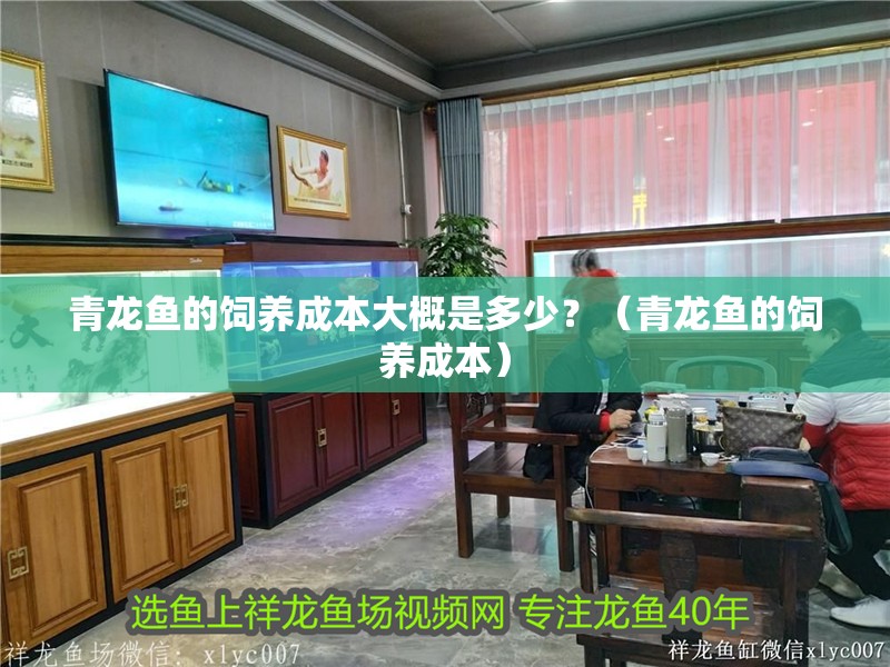 青龍魚的飼養(yǎng)成本大概是多少？（青龍魚的飼養(yǎng)成本）