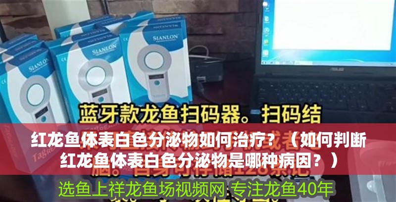 紅龍魚(yú)體表白色分泌物如何治療？（如何判斷紅龍魚(yú)體表白色分泌物是哪種病因？）