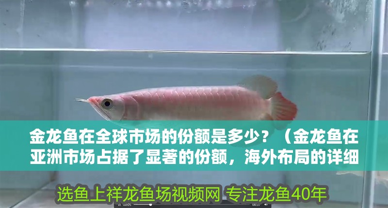 金龍魚在全球市場的份額是多少？（金龍魚在亞洲市場占據了顯著的份額，海外布局的詳細國家清單）