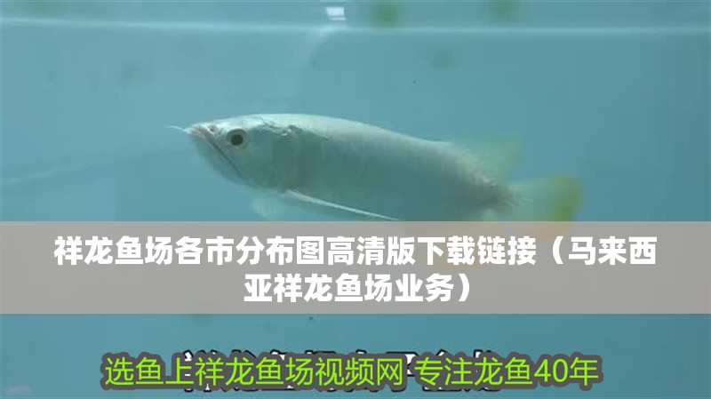 祥龍魚場各市分布圖高清版下載鏈接（馬來西亞祥龍魚場業務）