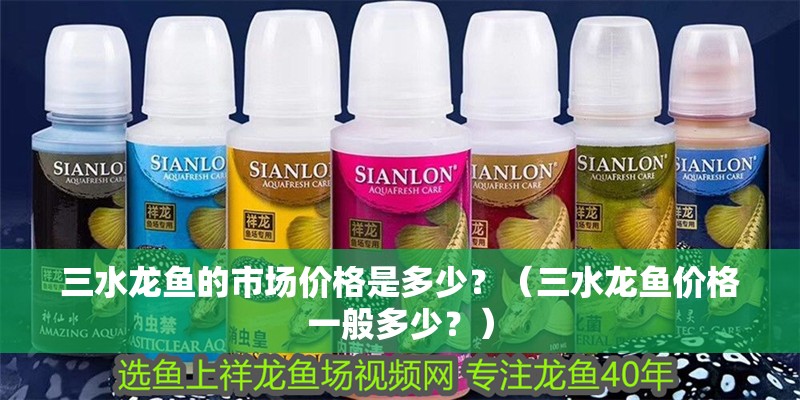 三水龍魚的市場價格是多少？（三水龍魚價格一般多少？）