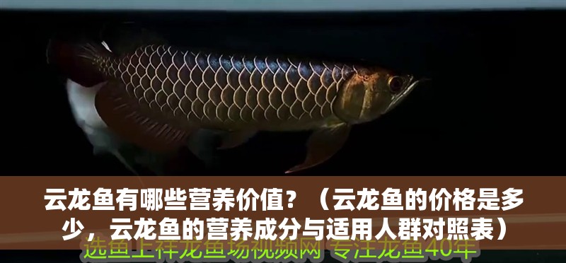 云龍魚有哪些營養(yǎng)價值？（云龍魚的價格是多少，云龍魚的營養(yǎng)成分與適用人群對照表）
