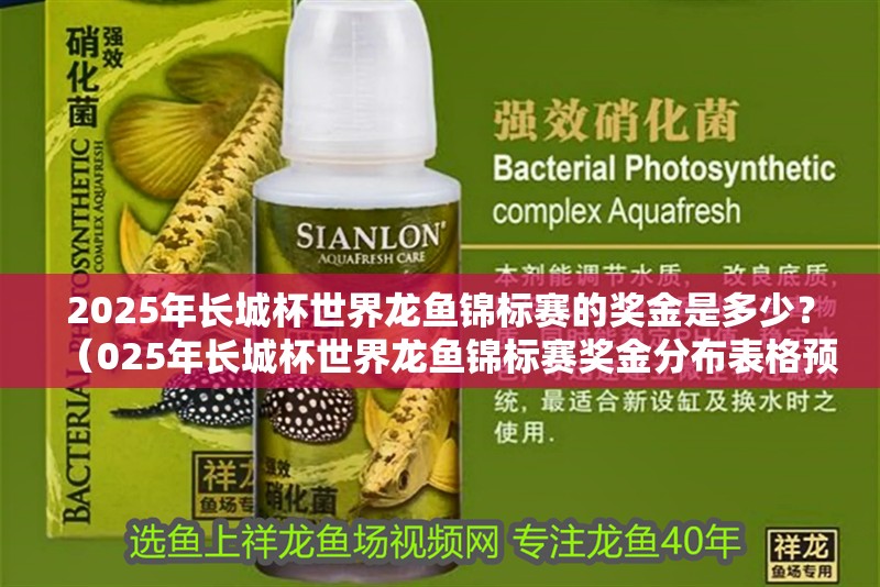 2025年長城杯世界龍魚錦標賽的獎金是多少？（025年長城杯世界龍魚錦標賽獎金分布表格預測）