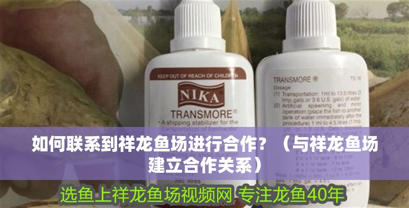 如何聯系到祥龍魚場進行<strong><mark>合作</mark></strong>？（與祥龍魚場建立<strong><mark>合作</mark></strong>關系）