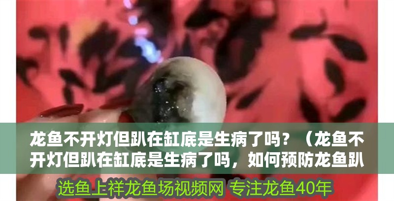 龍魚不開燈但趴在缸底是生病了嗎？（龍魚不開燈但趴在缸底是生病了嗎，如何預防龍魚趴缸）