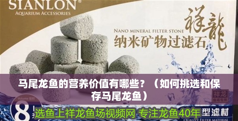 馬尾龍魚的營(yíng)養(yǎng)價(jià)值有哪些？（如何挑選和保存馬尾龍魚）