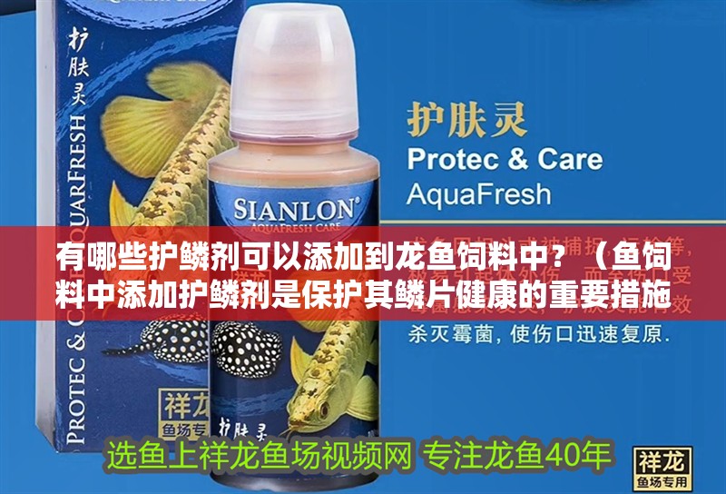 有哪些護鱗劑可以添加到龍魚飼料中？（魚飼料中添加護鱗劑是保護其鱗片健康的重要措施）