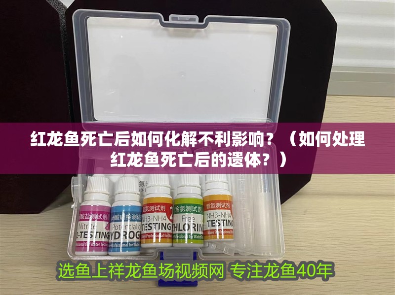 紅龍魚死亡后如何化解不利影響？（如何處理紅龍魚死亡后的遺體？）
