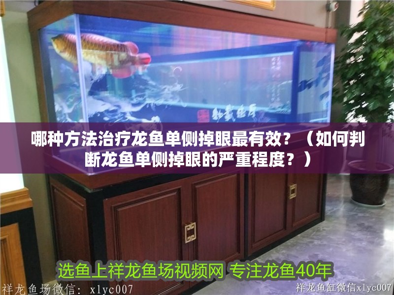 哪種方法治療龍魚單側掉眼最有效？（如何判斷龍魚單側掉眼的嚴重程度？）