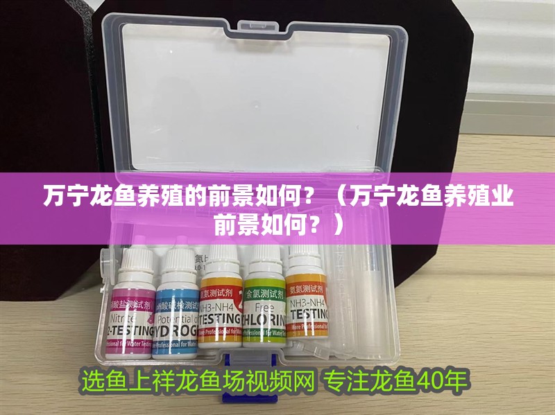 萬(wàn)寧龍魚(yú)養(yǎng)殖的前景如何？（萬(wàn)寧龍魚(yú)養(yǎng)殖業(yè)前景如何？）