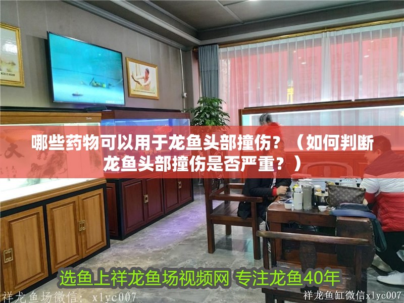 哪些藥物可以用于龍魚頭部撞傷？（如何判斷龍魚頭部撞傷是否嚴重？）