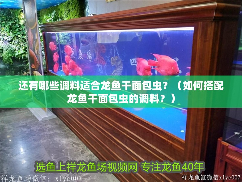 還有哪些調料適合龍魚干面包蟲？（如何搭配龍魚干面包蟲的調料？）