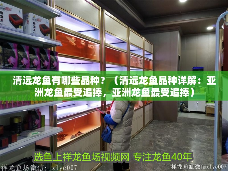 清遠龍魚有哪些品種？（清遠龍魚品種詳解：亞洲龍魚最受追捧，亞洲龍魚最受追捧）