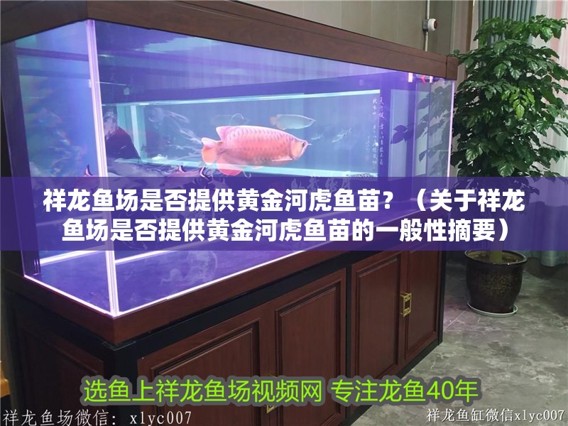 祥龍魚場是否提供黃金河虎魚苗？（關于祥龍魚場是否提供黃金河虎魚苗的一般性摘要）