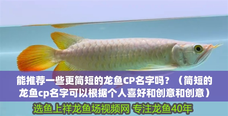 能推薦一些更簡短的龍魚CP名字嗎？（簡短的龍魚cp名字可以根據個人喜好和創意和創意）