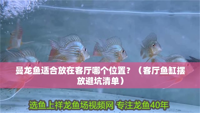 曼龍魚適合放在客廳哪個位置？（客廳魚缸擺放避坑清單）