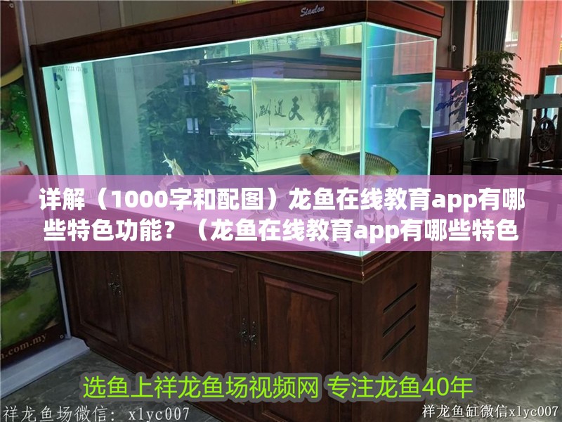 詳解（1000字和配圖）龍魚在線教育app有哪些特色功能？（龍魚在線教育app有哪些特色功能？）