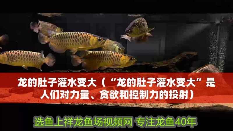 龍的肚子灌水變大（“龍的肚子灌水變大”是人們對力量、貪欲和控制力的投射）
