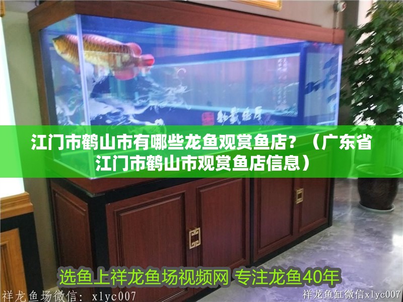 江門市鶴山市有哪些龍魚觀賞魚店？（廣東省江門市鶴山市觀賞魚店信息）