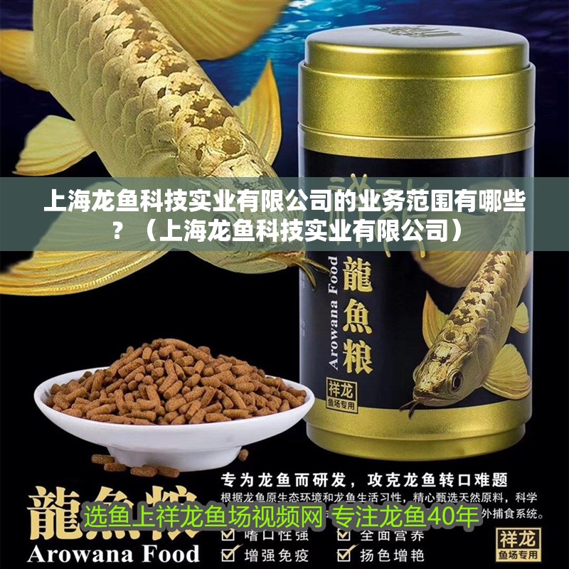 上海龍魚(yú)科技實(shí)業(yè)有限公司的業(yè)務(wù)范圍有哪些？（上海龍魚(yú)科技實(shí)業(yè)有限公司）