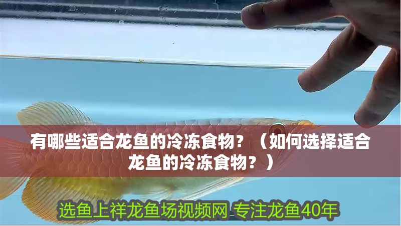 有哪些適合龍魚(yú)的冷凍食物？（如何選擇適合龍魚(yú)的冷凍食物？）